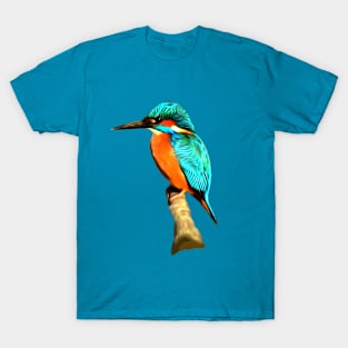 Kingfisher T-Shirt